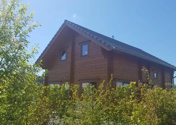 Prázdninový dům Sauerland 2 Medebach